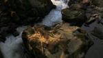 Rapids and calm