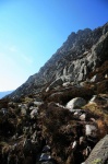 ... to arrive at Heather Terrace ...