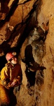 False floor and stalactite in the Lower Series of Glasnock