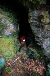 Gaynor arriving at the exit