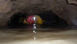 Typical low, wet crawling 