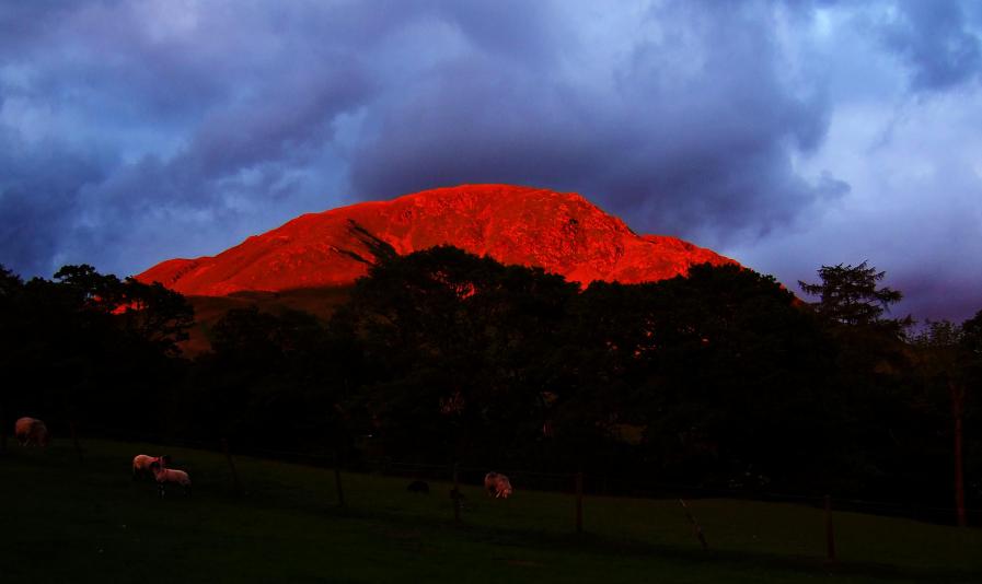 20070527-212114.jpg - Sunset light on Robinson