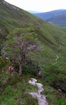 Descent path