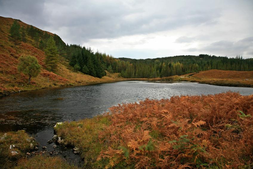 20071013-134806.jpg - Loch an Droighinn
