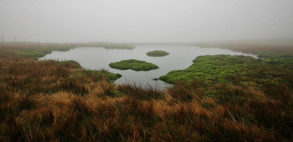 20071103-100856.jpg - Misty mossy mire