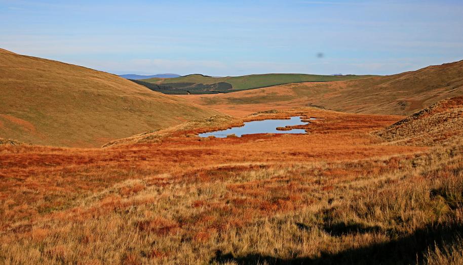 20071104-093936.jpg - Pool