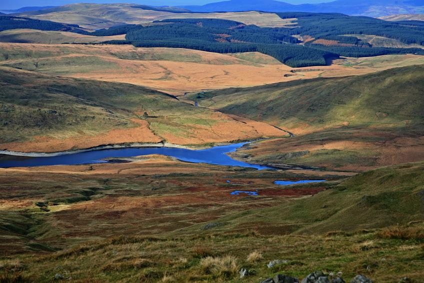 20071104-112618.jpg - Top end on Nant-y-Moch reservoir