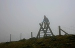 Misty Marja
