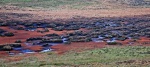 Bog