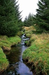 Stream