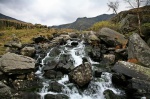 Lively stream