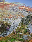 Milestone Gully