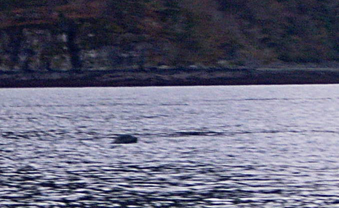 20071125-124132.jpg - Seal