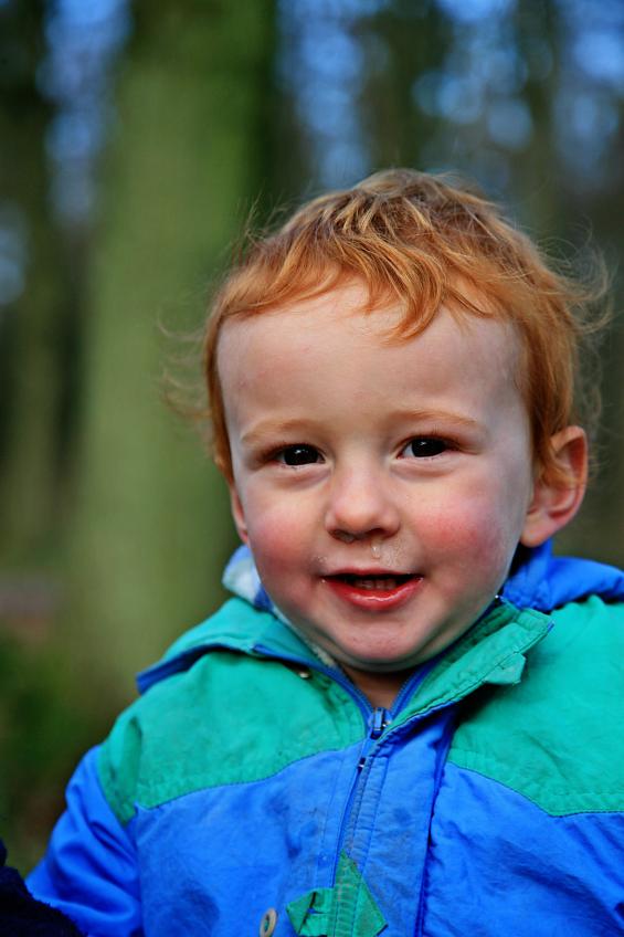 20071201-121104.jpg - Robin