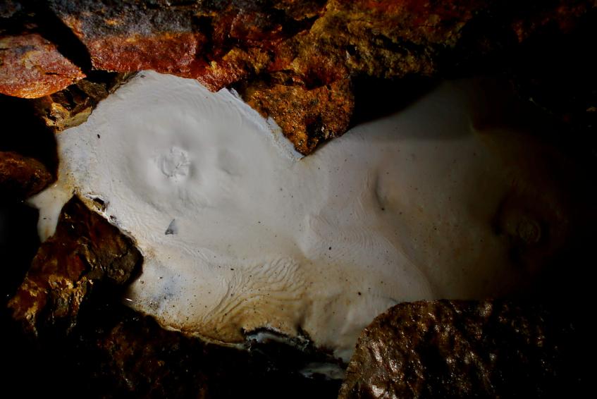 20071208-114500.jpg - Moonmilk pool