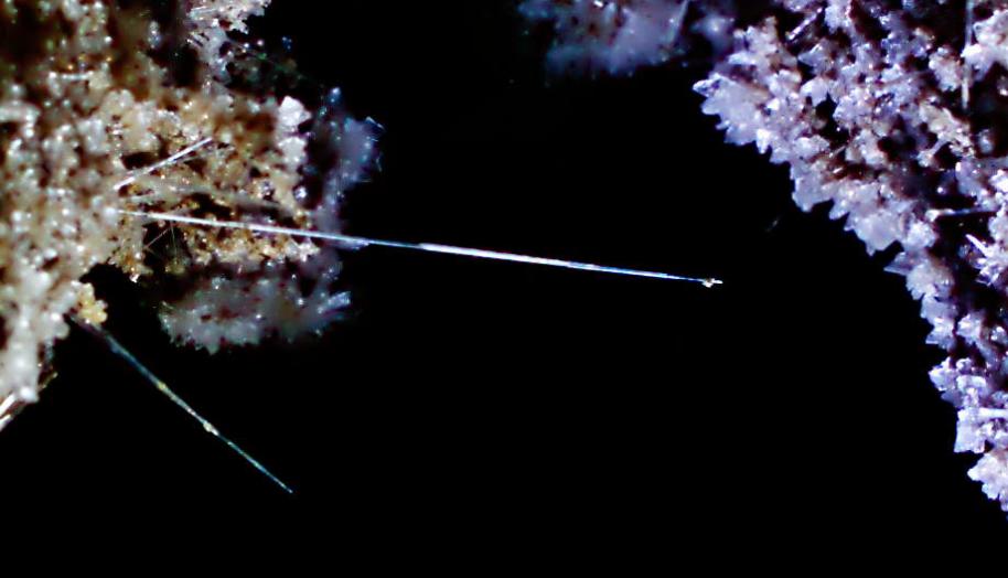 20071208-121548b.jpg - Needle close-up