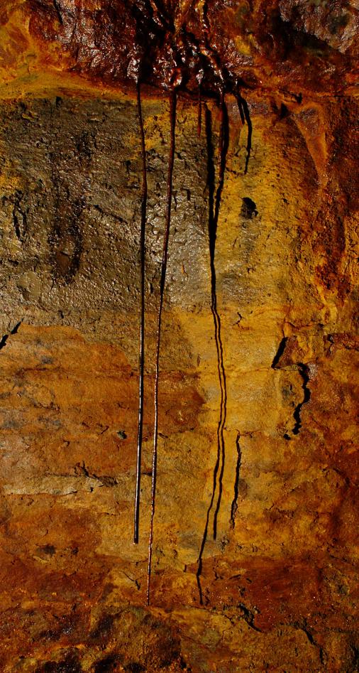 20071208-122326.jpg - Stals and their shadows