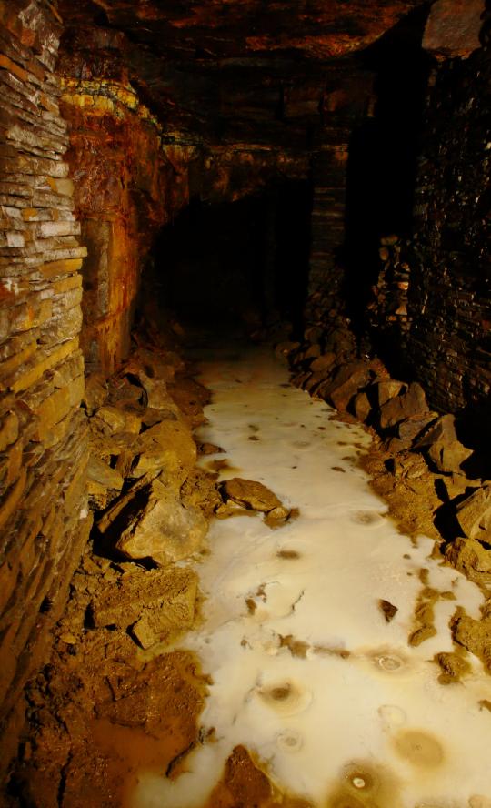 20071208-123228.jpg - A beautiful moonmilk floor