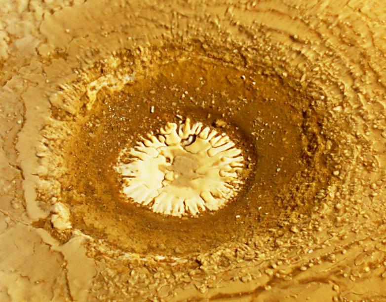 20071208-123344.jpg - Pearl-pool close-up