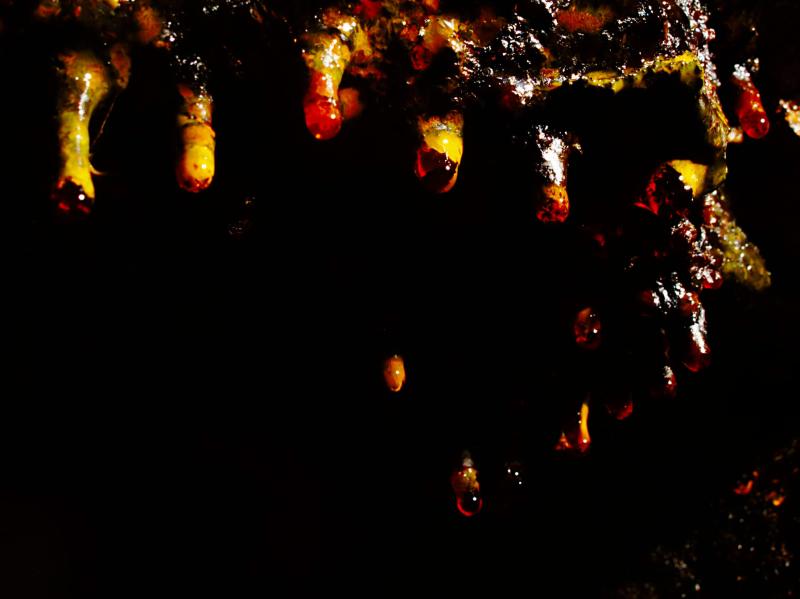 20071208-125116.jpg - Orange drips