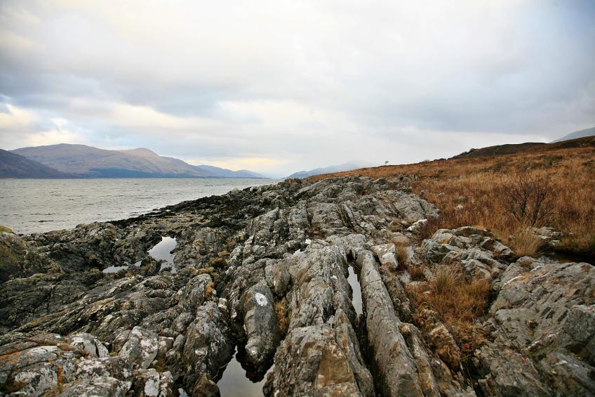 20080103-114408.jpg - Shoreline rocks