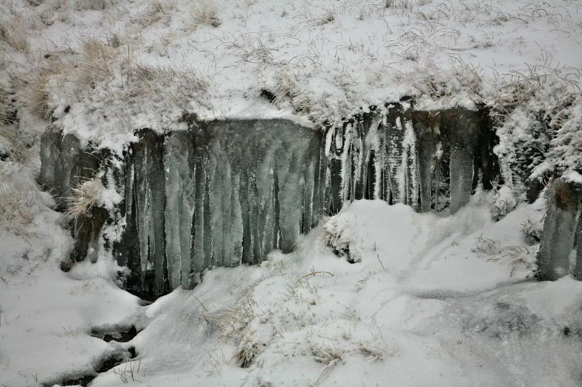 20080104-122456.jpg - Icicles