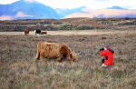 Catherine capturing a cow-shot