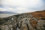 Shoreline rocks