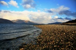 Pebble beach