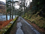 Shore road