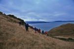 A herd of Duffers on the hill