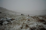 Slowly descending in mist and snow