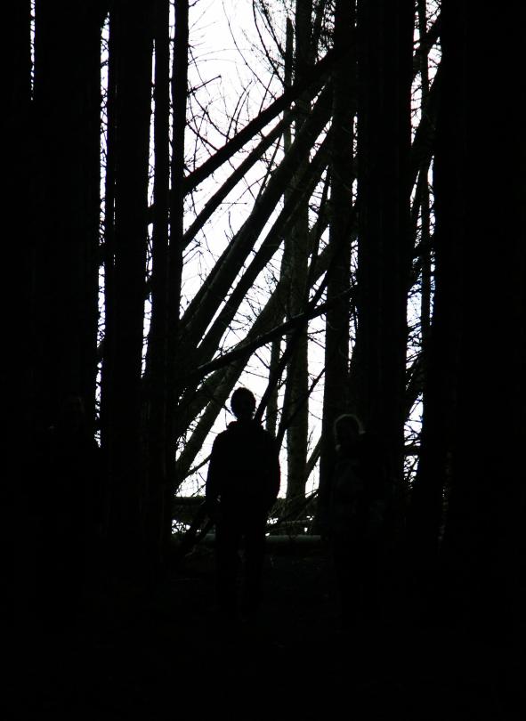 20080127-142754b.jpg - Silhouettes