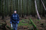 Tannia in the trees
