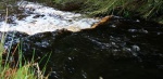 Raven Burn churning merrily