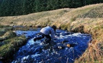 How not to cross a stream, by Gillian
