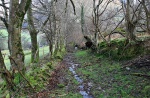 Ancient (and boggy) path