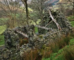 Ruined house