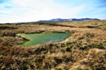 Boggy pool