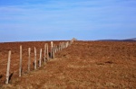 Unnamed summit