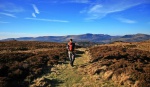 On the path down