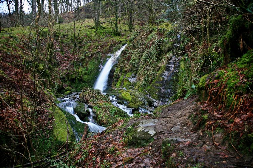 20080308-100348.jpg - Holme Force