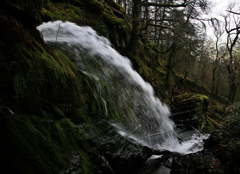 20080308-101346.jpg - Holme Force