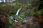 Holme Force