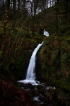 Holme Force