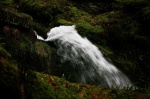 Holme Force