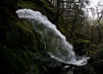Holme Force