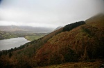 Forested slopes, with Loweswater and Crummock Water