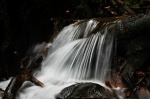 Cascade