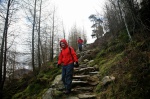 Descending through the woods